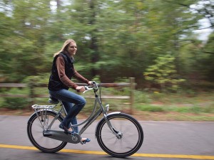 Batavus Diva The Batavus Diva bike