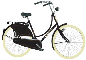 Batavus Fryslan